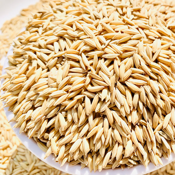 MTU-1282 Paddy Seeds-Andhra Pradesh