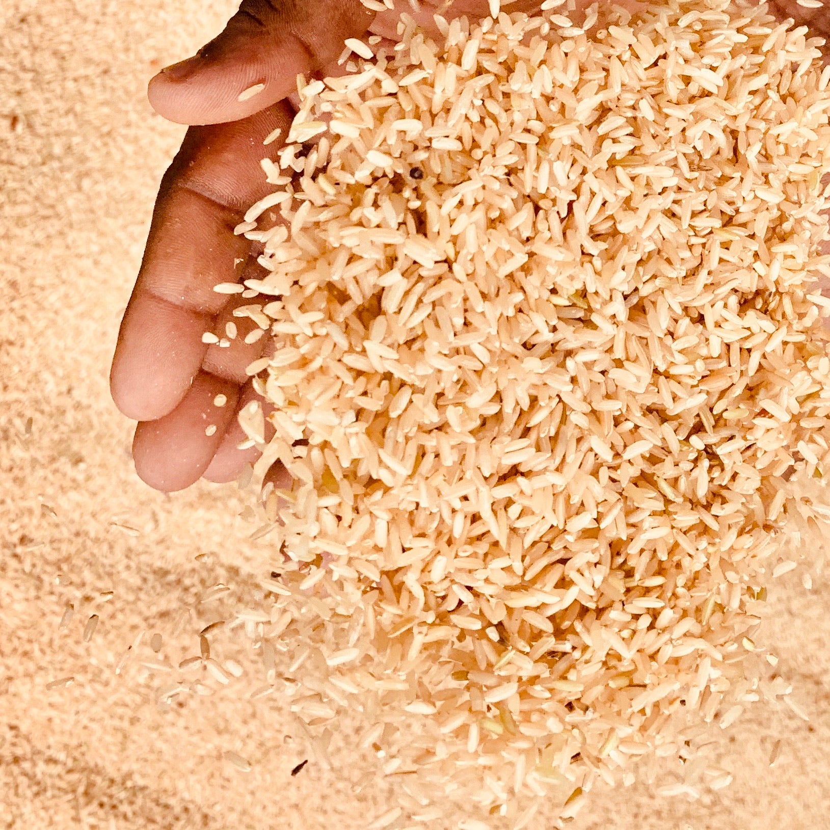 Barn Rice Images Brown Rice-From 1 Year Old Paddy – Vintage Farmers