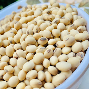 Premium Soybeans-Edible Soya-Beans