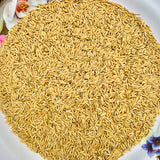 K3 Maharaj Paddy Seeds For Cultivation