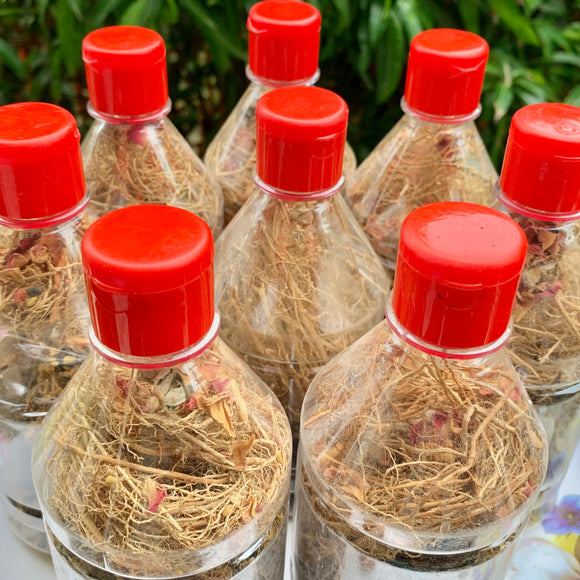 11 Araku Valley Roots For Hair Oil-1 Bottle