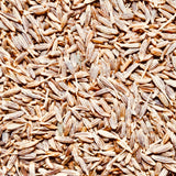 Natural Cumin Seeds-Jeera Beej-500 Grams