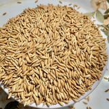 WGL 962 Paddy Seeds