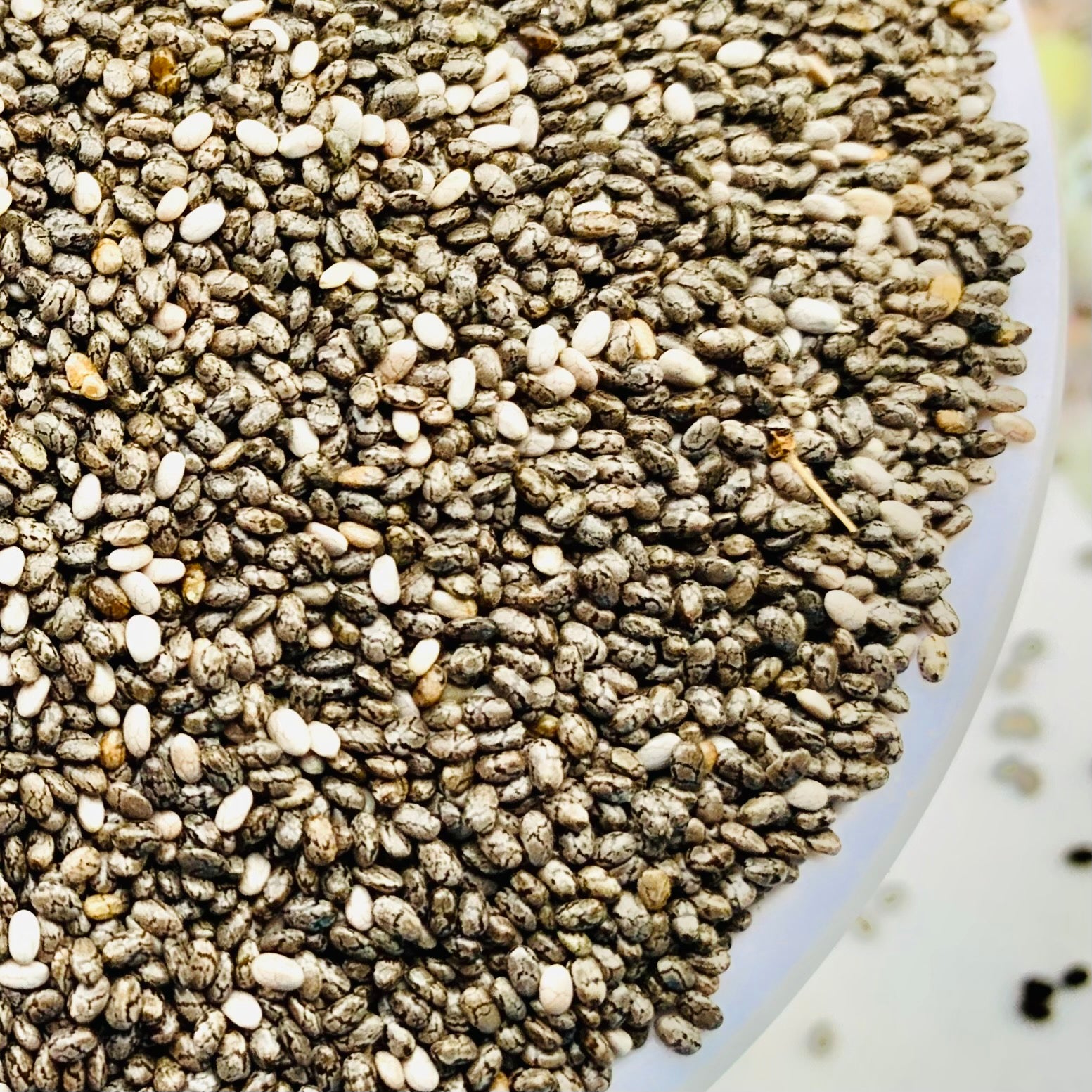 Chia Seeds For Cultivation – Vintage Farmers