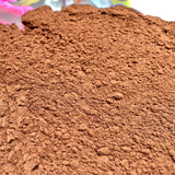 Pure Chicory Powder-Root Extract