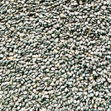 Natural Sesame Seeds For Cultivation