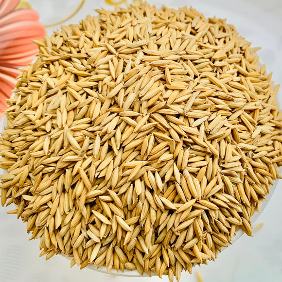 RNR-15048-Diafit Paddy Seeds-Sugarless