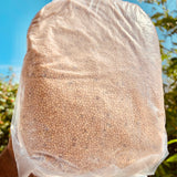 Proso-Millet Crop Seeds-1 Kg Packs