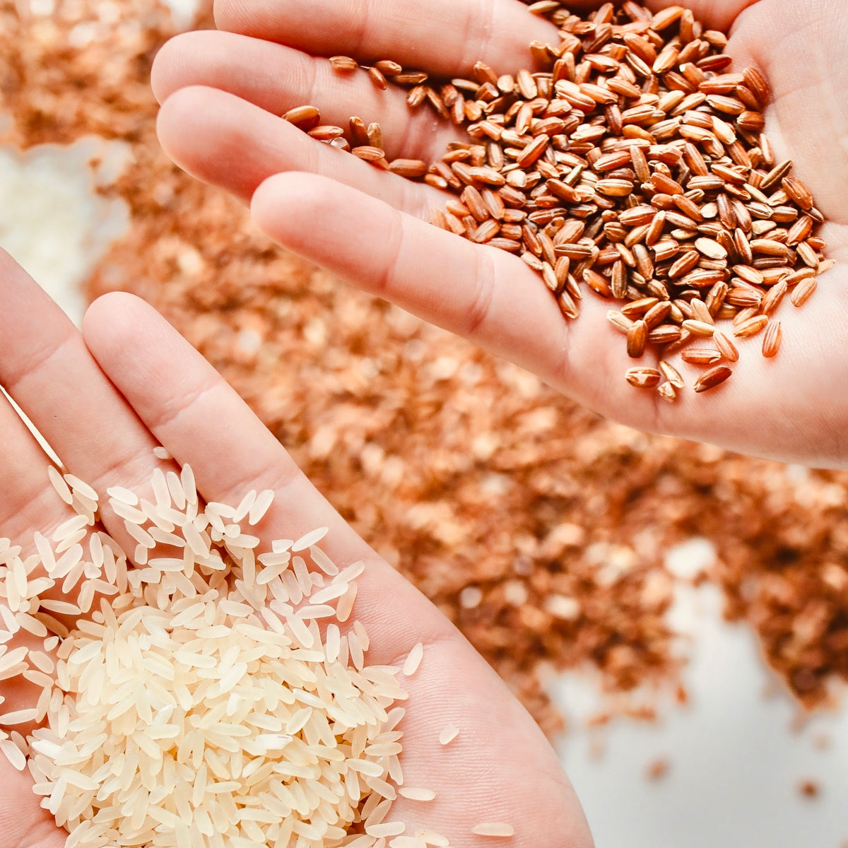 Red Rice-Navara Rice – Vintage Farmers