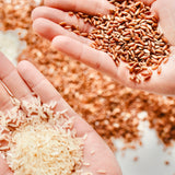 Red Rice-Navara Rice