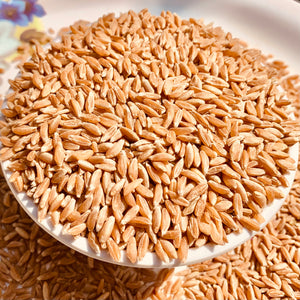 Khapli Wheat - Ancient Emmer Grains for Home Use
