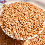 Khapli Wheat - Ancient Emmer Grains for Home Use