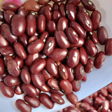 RajmaSeeds-Laal Lobia-For Cultivation