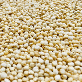 White Sorghum Seeds For Cultivation-Jowar-Jonnalu