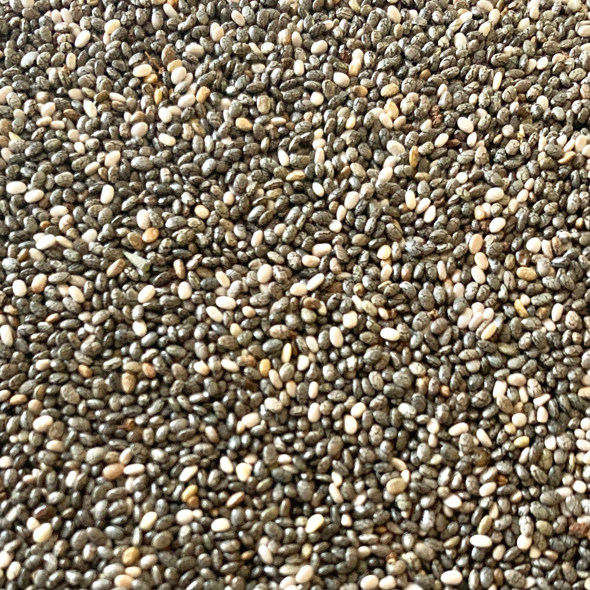 Chia Seeds For Cultivation – Vintage Farmers