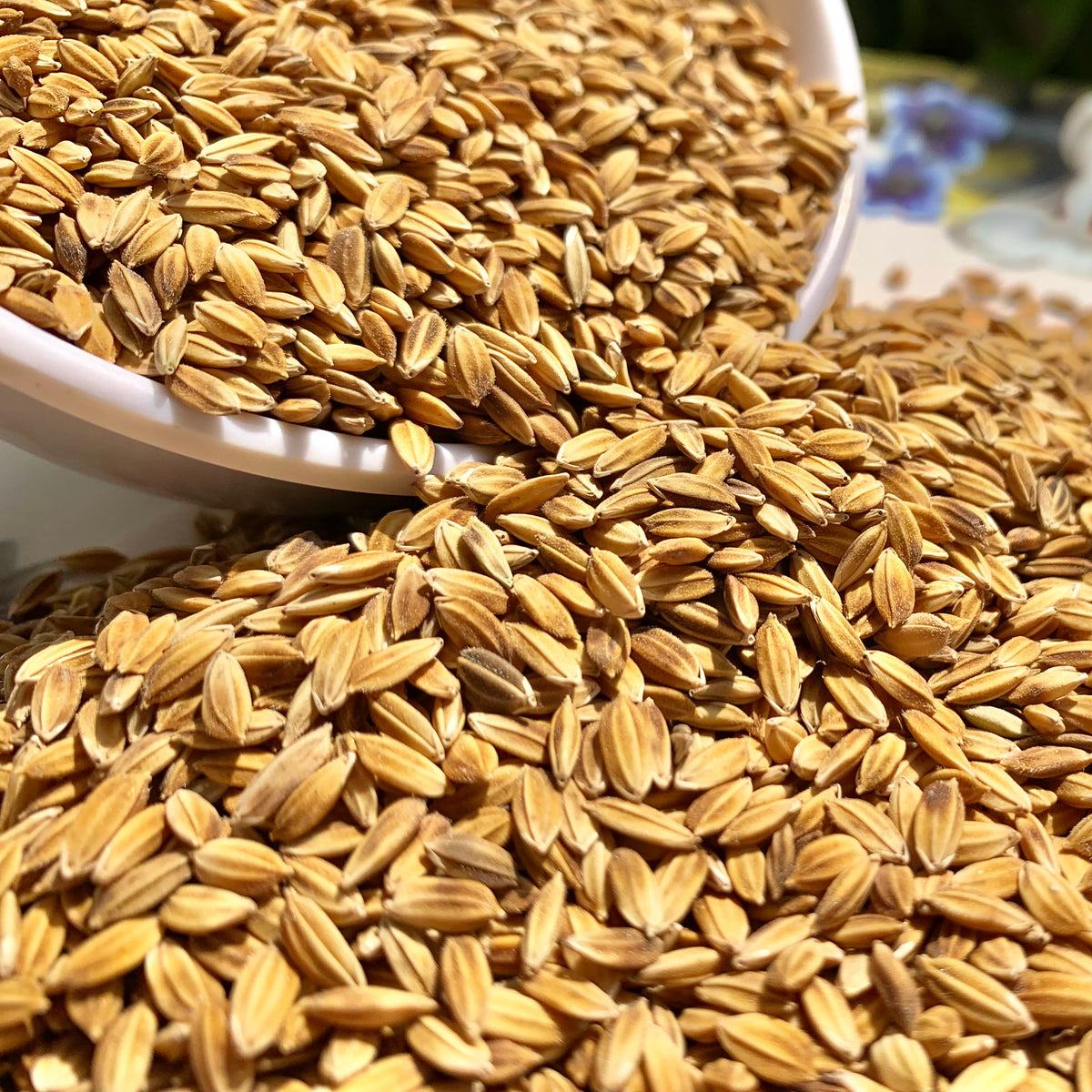 Farmers Bahurupi Paddy Seeds – Vintage Farmers