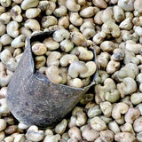 Kaju-Cashew Nuts 1Kg