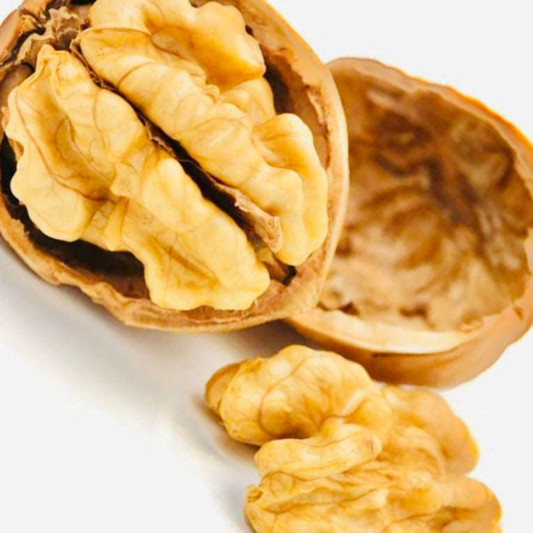 Paper Walnut Paper Shell-Walnut In Shell – Vintage Farmers