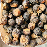 Natural Soap Nut-Kunkudu Kaayalu