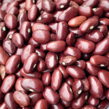 RajmaSeeds-Laal Lobia-For Cultivation