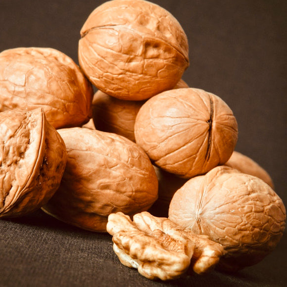 Paper Walnut Paper Shell-Walnut In Shell – Vintage Farmers