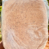 Proso-Millet Crop Seeds-1 Kg Packs
