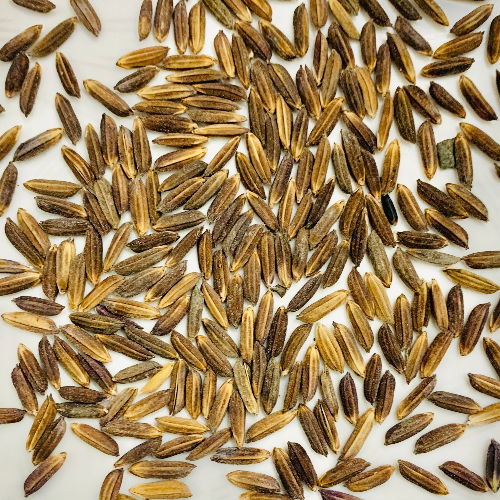 Pink Rice-Manipuri Rice-Chakhao Pink Rice 1 Kg Packs – Vintage Farmers