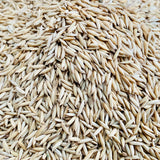 RNR-15048-Diafit Paddy Seeds-Sugarless