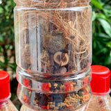 11 Araku Valley Roots For Hair Oil-1 Bottle