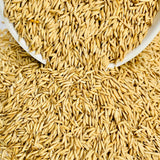 Kujipatalia Paddy Seed-For Cultivation