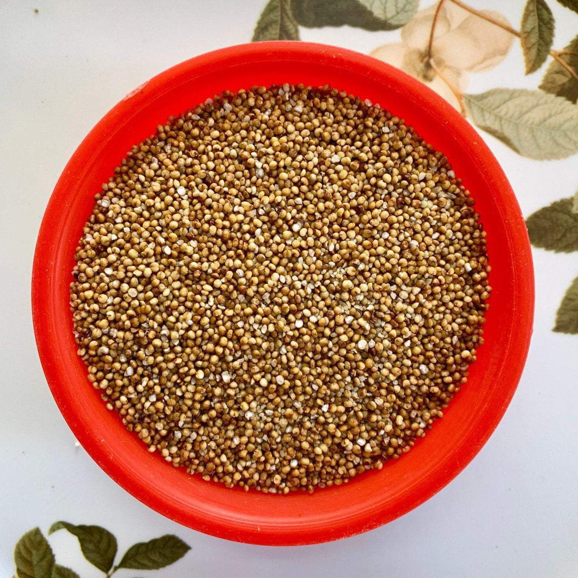 FoxTail Millet Rice-Korra Biyyam – Vintage Farmers